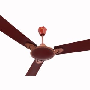 Whatsapp Image 2021 12 14 At 1.08.00 Pm (1)