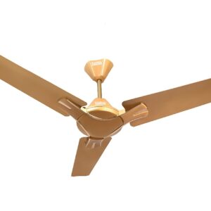 Whatsapp Image 2021 12 14 At 1.39.24 Pm