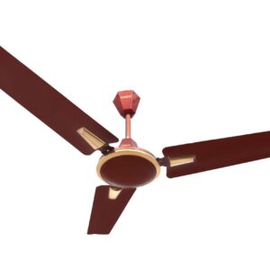 Whatsapp Image 2021 12 14 At 12.51.08 Pm (1)