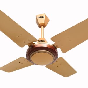 Whatsapp Image 2021 12 14 At 2.19.43 Pm (1)