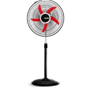 Whatsapp Image 2024 05 03 At 2.48.37 Pm (1)